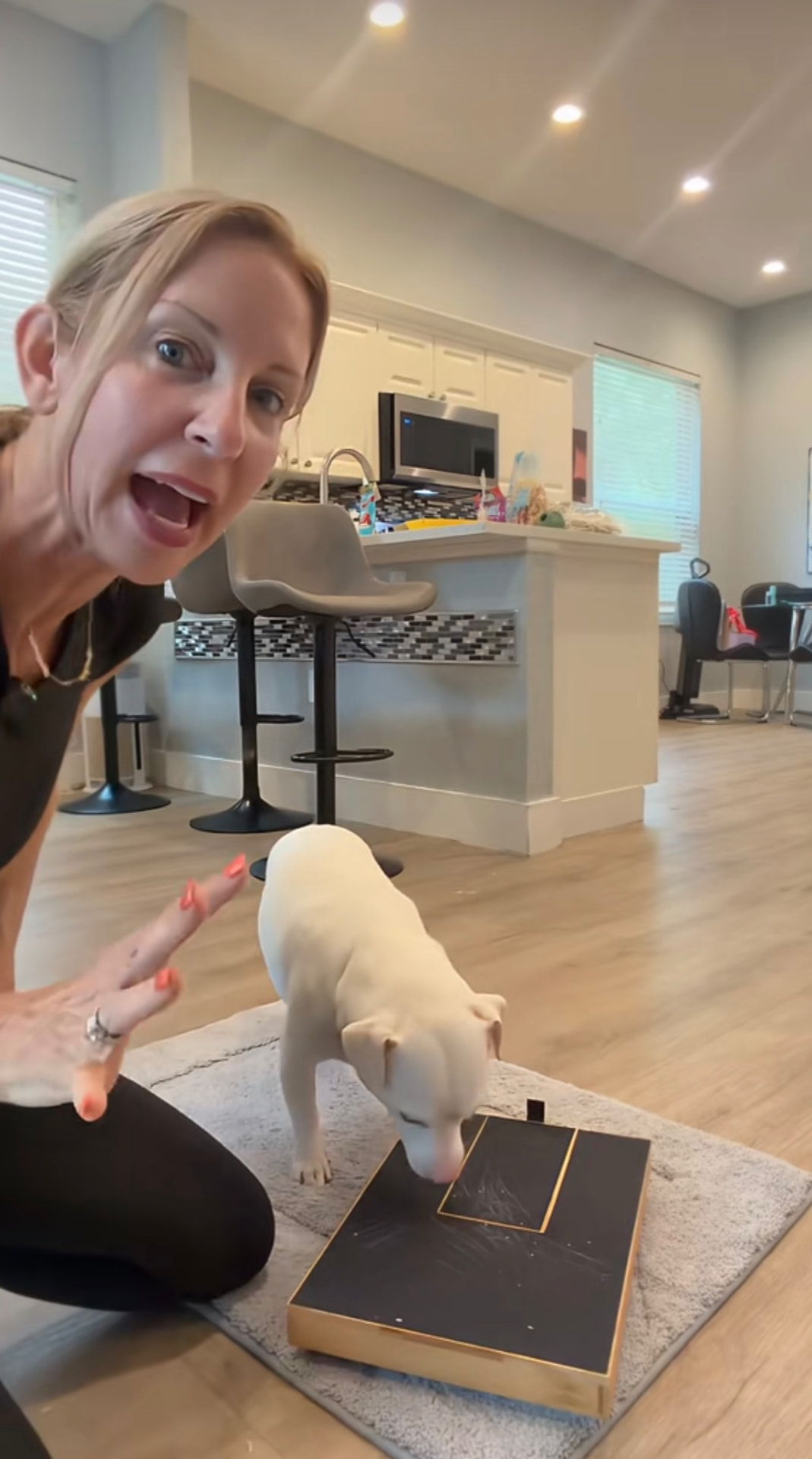 White dog sniffing the nail scratch board while its owner kneels beside it, owner-supplied reel frame